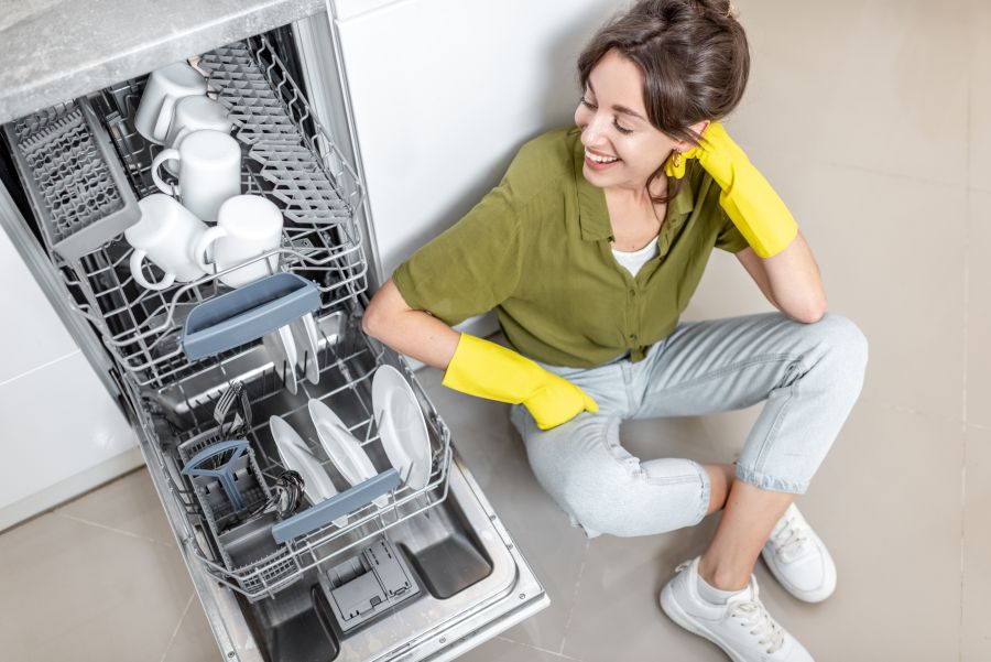 small dishwasher and happy woman